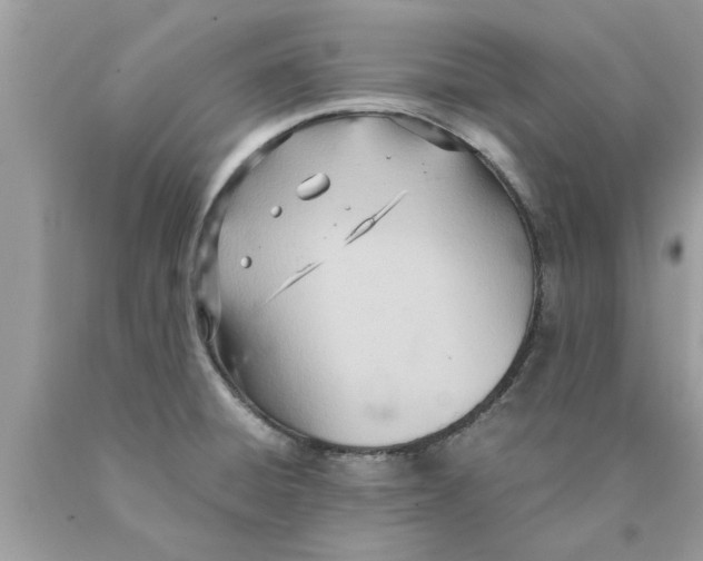 X0000089871428200707262140