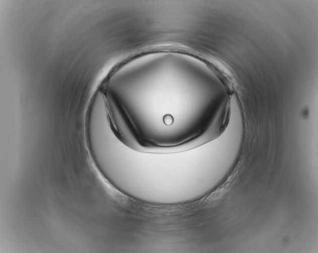 X0000089871430200707262140