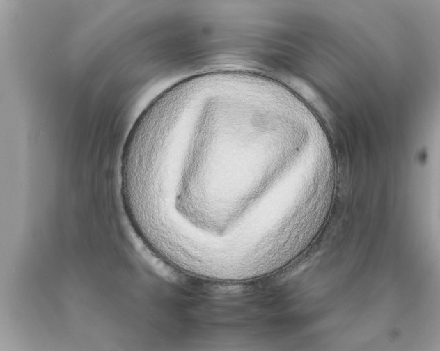 X0000089871431200707262140