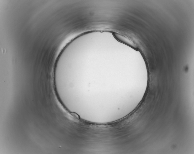 X0000089871432200707262140