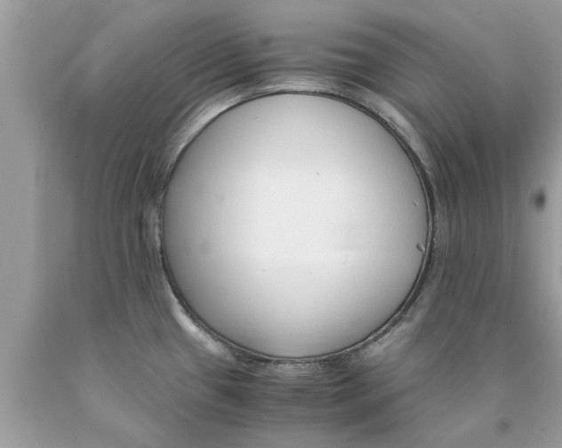 X0000089871433200707262140