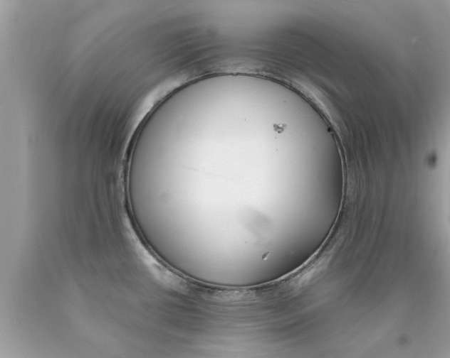 X0000089871434200707262140