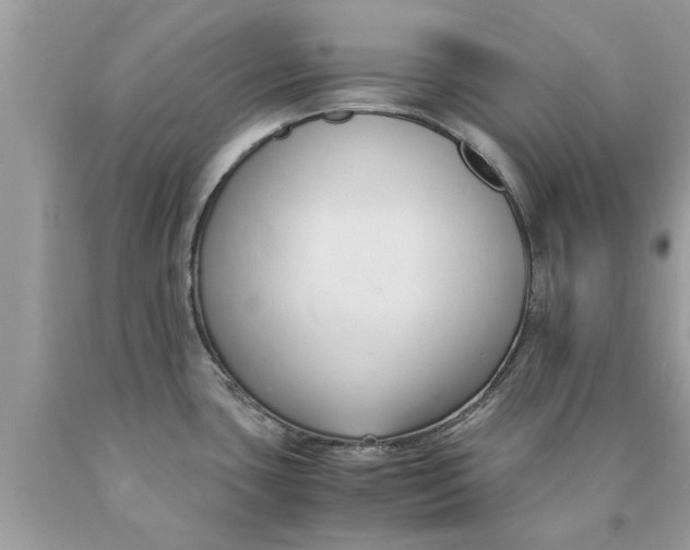 X0000089871435200707262140