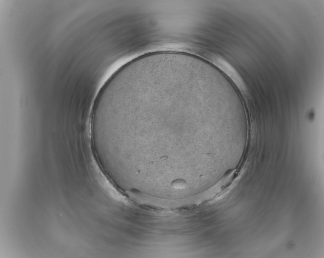 X0000089871436200707262140