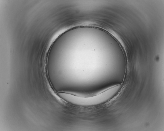 X0000089871437200707262140