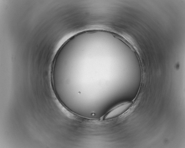 X0000089871438200707262140