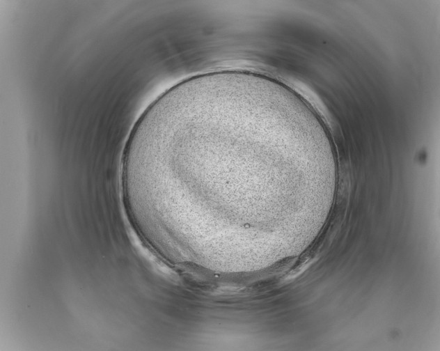 X0000089871439200707262140