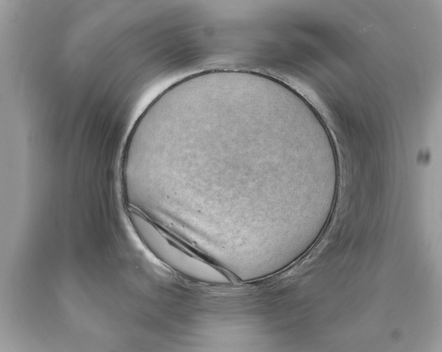 X0000089871440200707262140