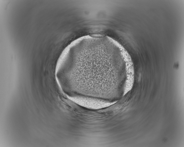 X0000089871441200707262139