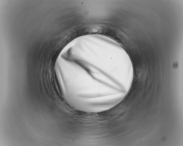 X0000089871442200707262139