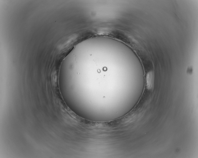 X0000089871443200707262139