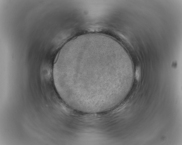 X0000089871444200707262139