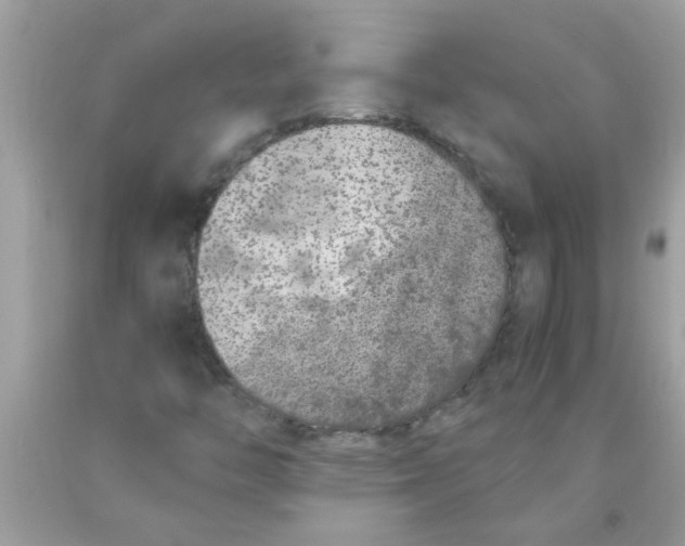 X0000089871446200707262139