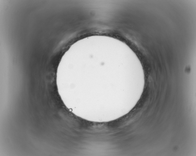 X0000089871447200707262139