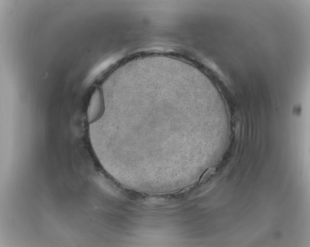 X0000089871448200707262139