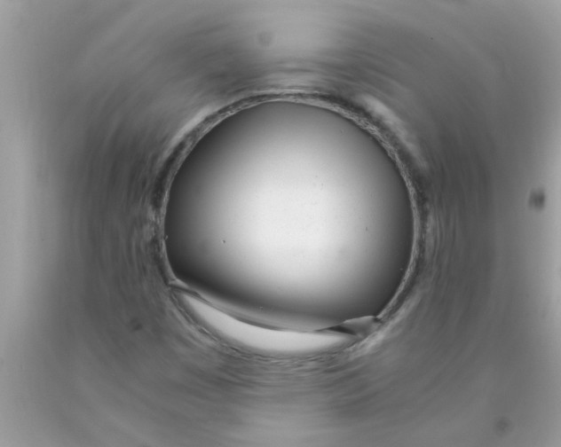 X0000089871449200707262139