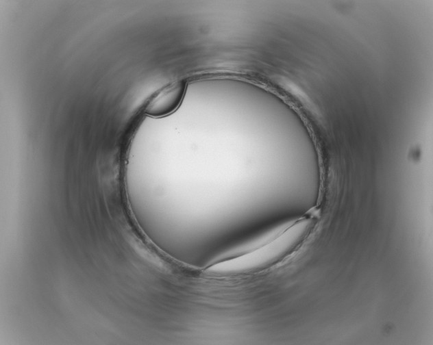 X0000089871450200707262139