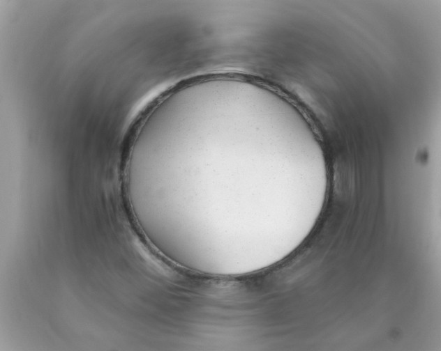 X0000089871452200707262139