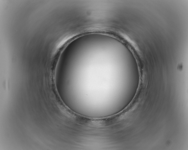 X0000089871453200707262139