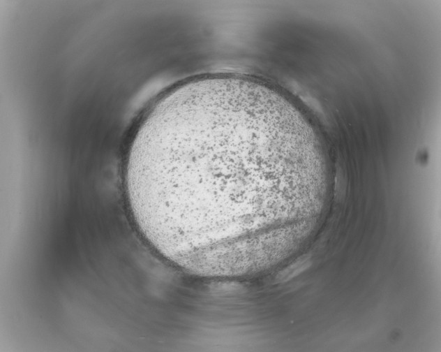 X0000089871454200707262139