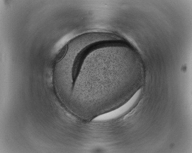 X0000089871455200707262139