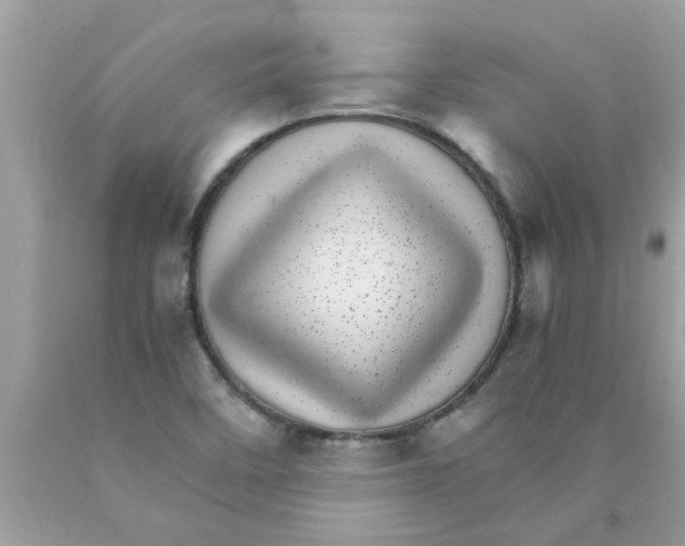 X0000089871458200707262139