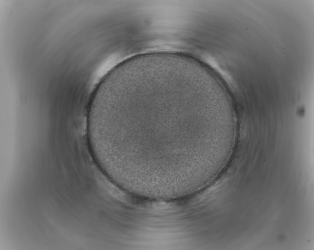 X0000089871459200707262139