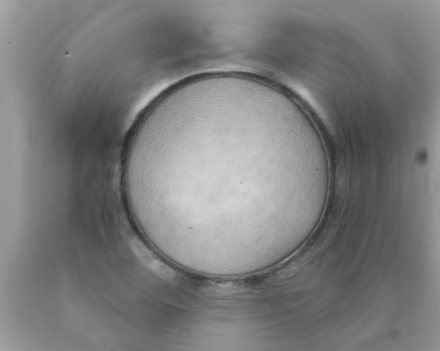 X0000089871460200707262139