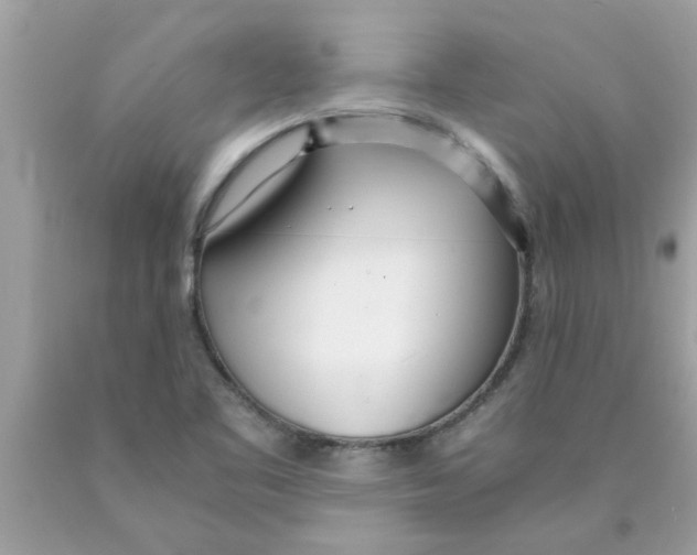 X0000089871461200707262139