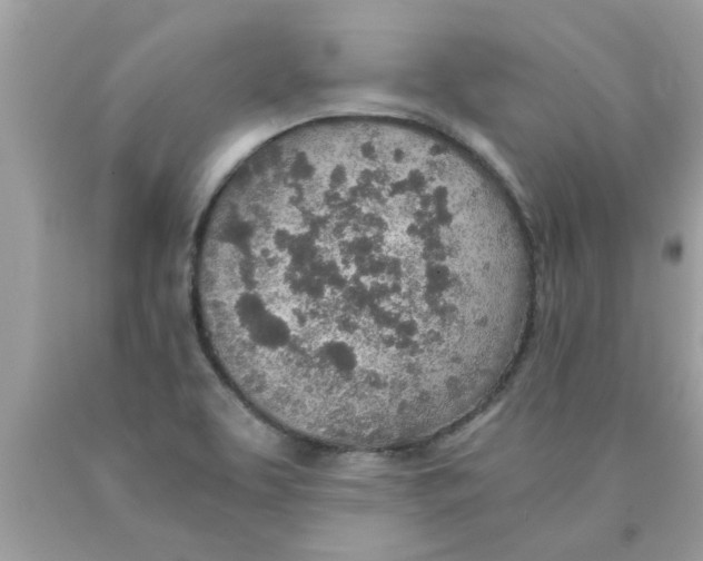 X0000089871463200707262139