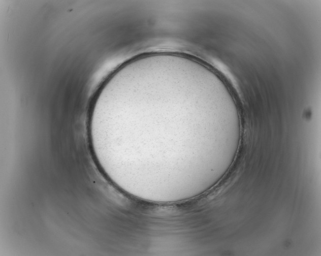 X0000089871464200707262139