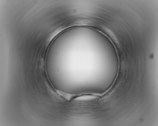 X0000089871465200707262139