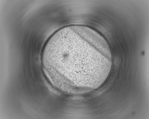 X0000089871466200707262139