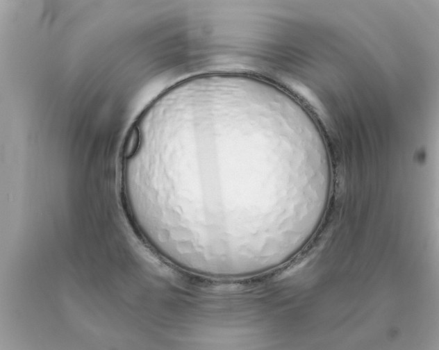 X0000089871467200707262139