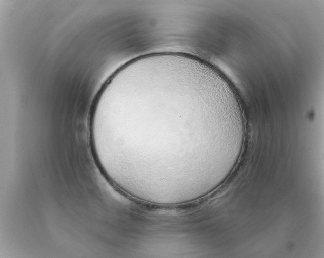 X0000089871468200707262139