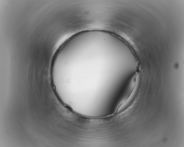 X0000089871469200707262139