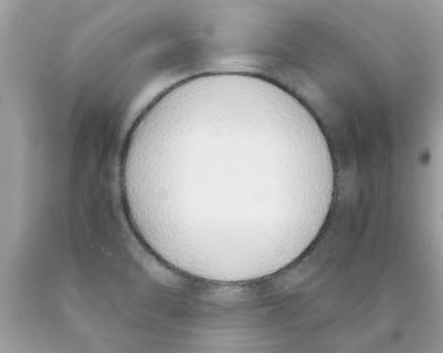 X0000089871470200707262139