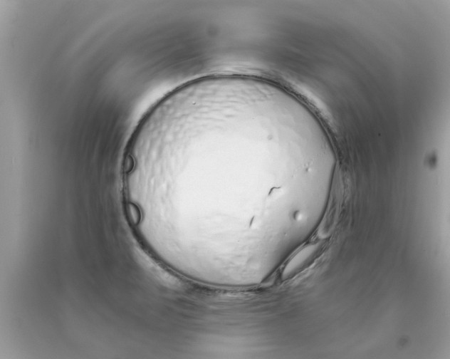 X0000089871471200707262139