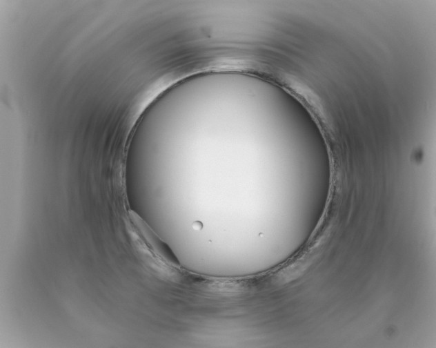 X0000089871473200707262139