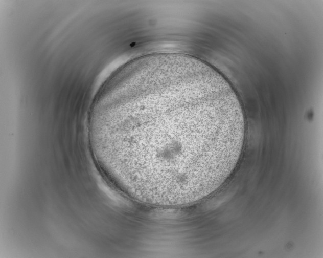 X0000089871474200707262139