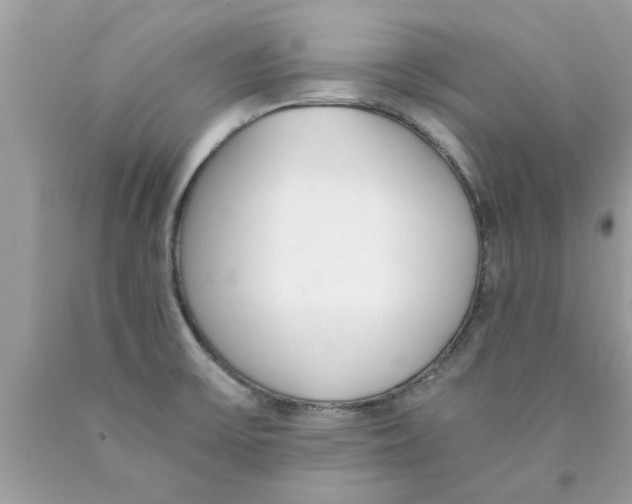 X0000089871475200707262139