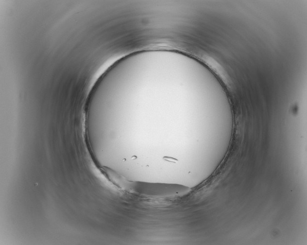 X0000089871476200707262139