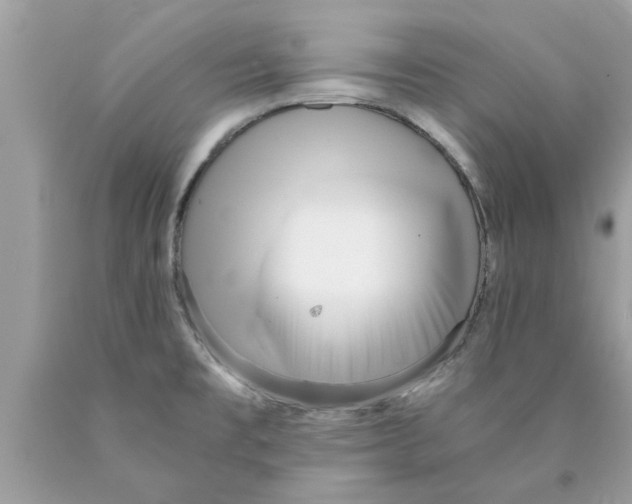 X0000089871477200707262139