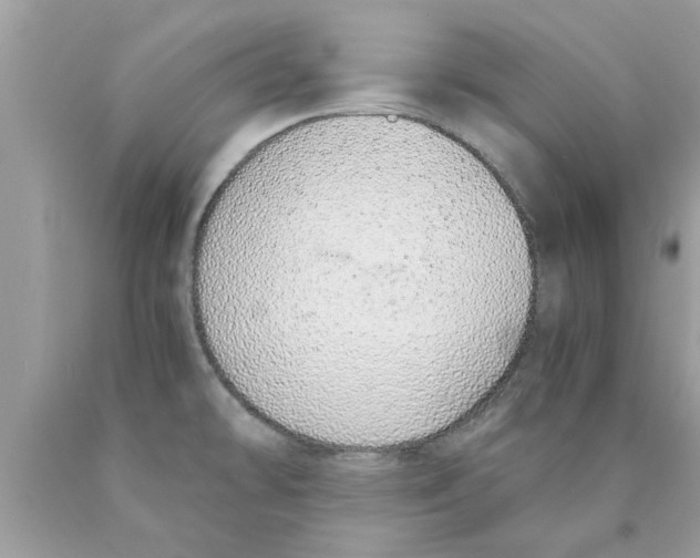 X0000089871478200707262139