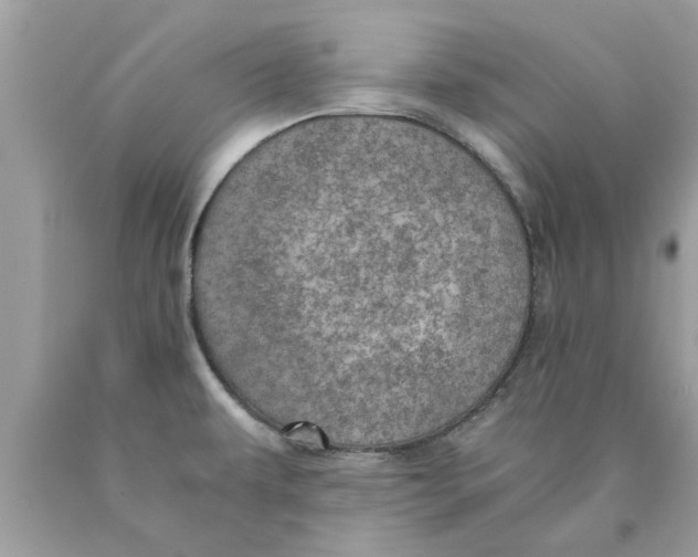 X0000089871479200707262139