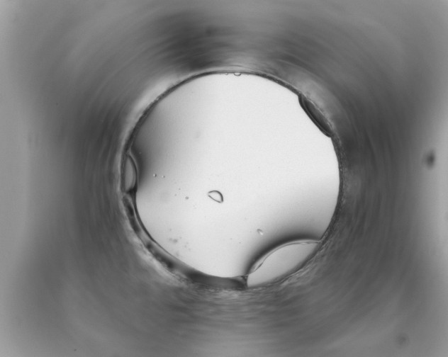 X0000089871480200707262139