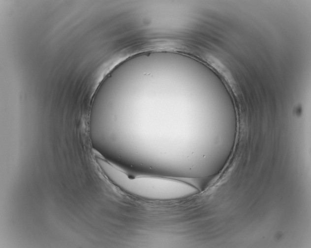 X0000089871481200707262139