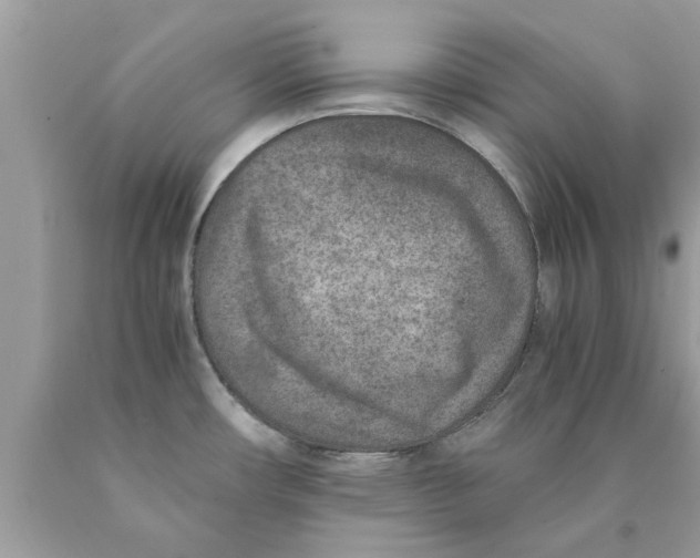 X0000089871482200707262139