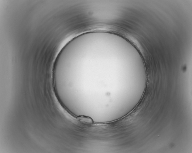 X0000089871483200707262139