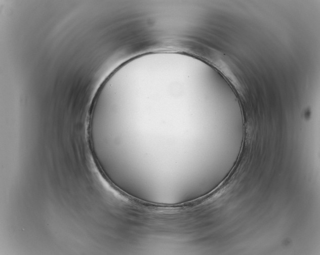 X0000089871484200707262139